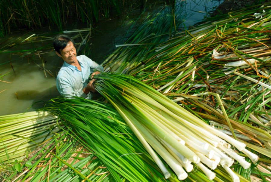 Top những nghề truyền thống ở Cà Mau có thể bạn chưa biết 4