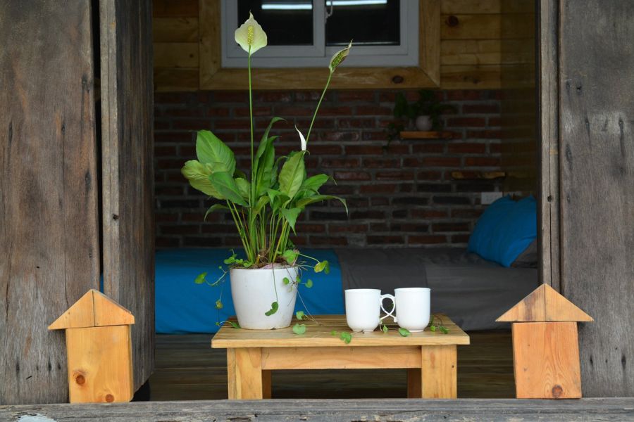 Trang An Precious Homestay, vườn địa đàng thu nhỏ giữa Ninh Bình 5