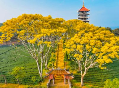 Trọn bộ cẩm nang du lịch Bảo Lộc 2023 cho hành trình đáng nhớ