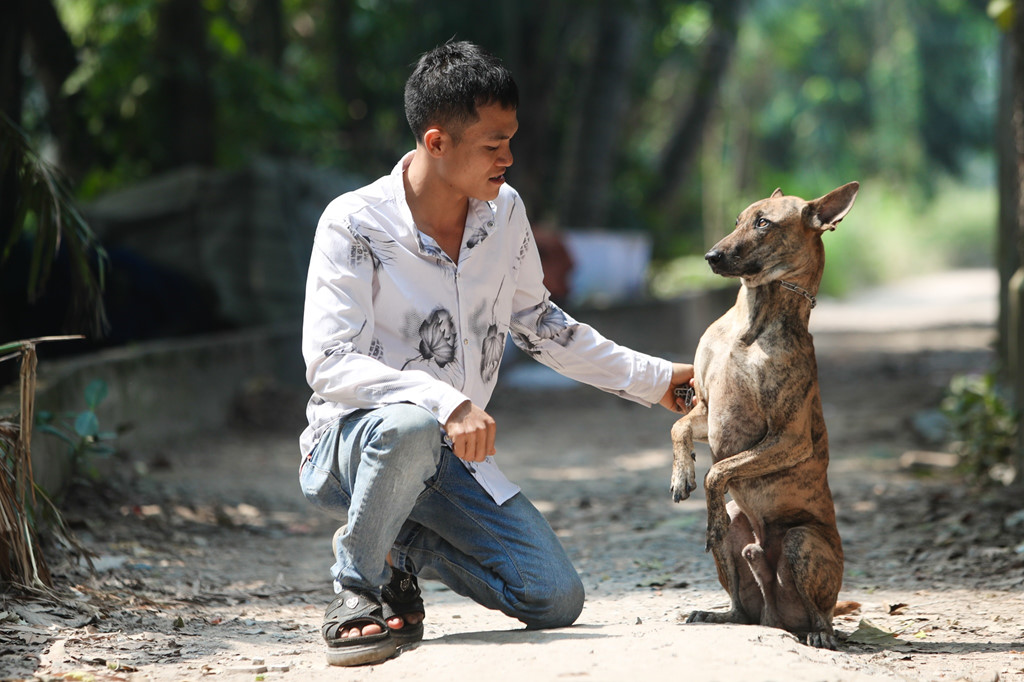 Trung tâm bảo tồn chó xoáy Phú Quốc – Quốc khuyển linh hồn của đảo Ngọc 5