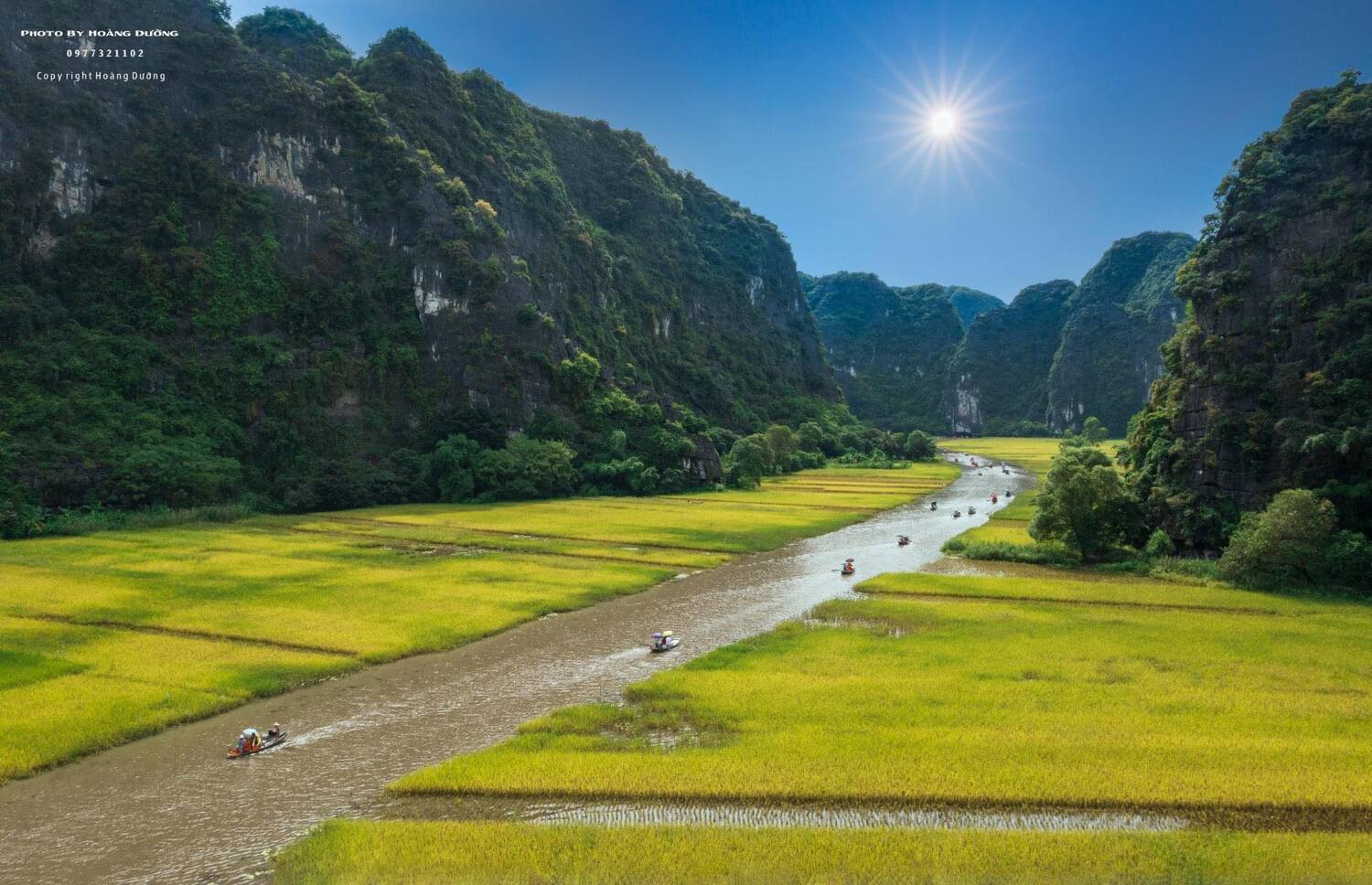 Tự hào \'Sắc vàng Tam Cốc\', lá cờ hội bằng lúa lớn nhất Việt Nam