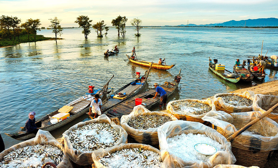 Vẻ đẹp mùa nước nổi An Giang khiến bất cứ ai cũng phải say lòng 7