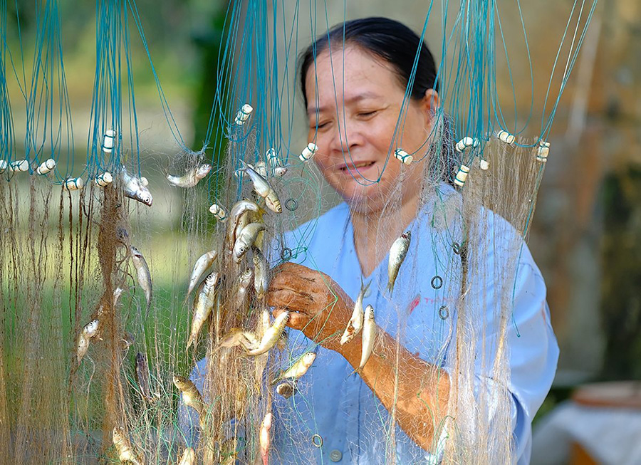 Vẻ đẹp mùa nước nổi An Giang khiến bất cứ ai cũng phải say lòng 8