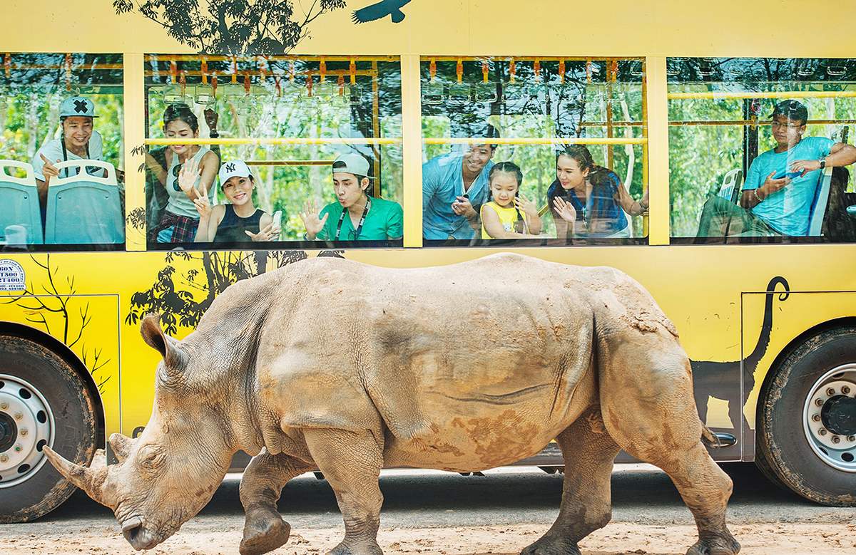 Vinpearl Safari Phú Quốc – Review từ A-Z mô hình bán sở thú hoang dã đầu tiên tại Việt Nam 3
