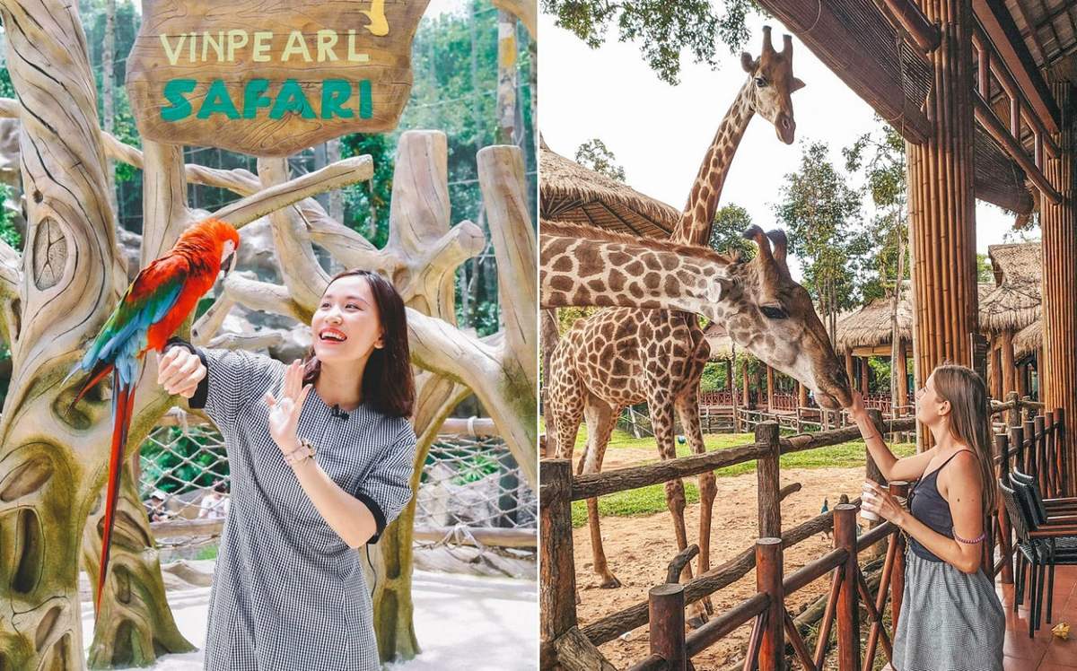 Vinpearl Safari Phú Quốc – Review từ A-Z mô hình bán sở thú hoang dã đầu tiên tại Việt Nam 6