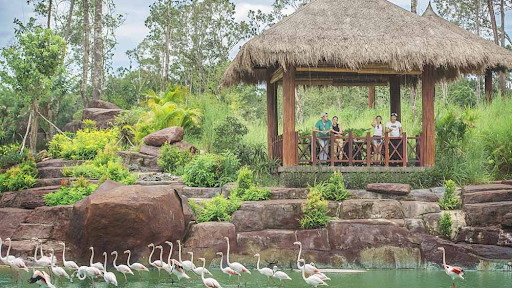 Vinpearl Safari Phú Quốc – Review từ A-Z mô hình bán sở thú hoang dã đầu tiên tại Việt Nam 23