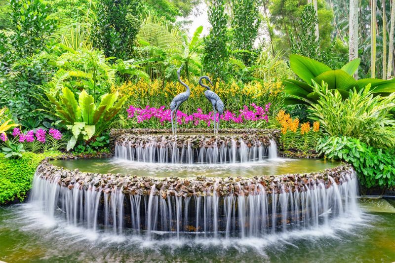 Vườn bách thảo Singapore, 'lá phổi xanh' của đảo quốc sư tử 3