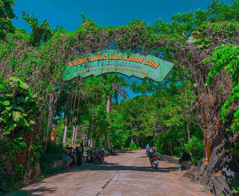 Khám phá Vườn Quốc gia Xuân Sơn cùng hệ sinh thái đa dạng, phong phú 2