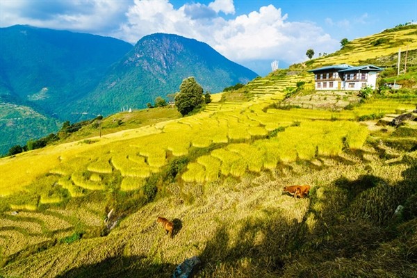 Tại sao ai cũng muốn đến Butan ít nhất 1 lần trong đời? 4