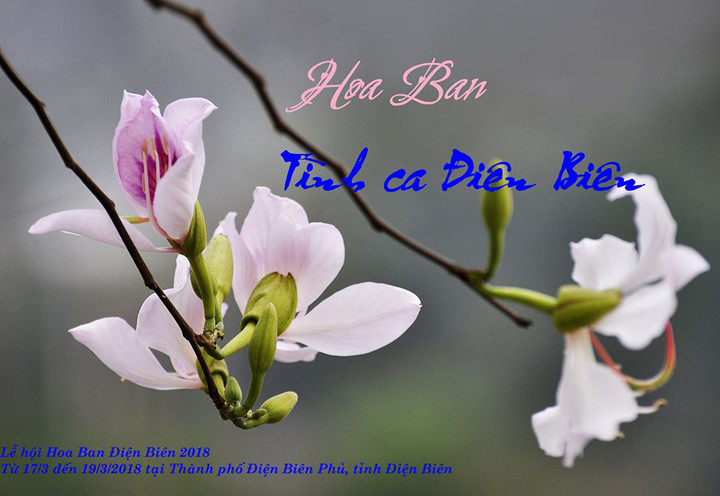 ghe-ngay-4-le-hoi-hoanh-trang-dien-ra-trong-thang-32