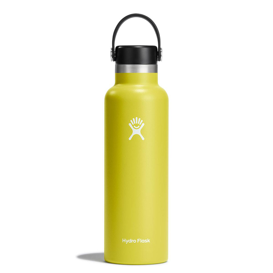 Bình nước Hydro Flask Standard Flex Cap S21SX - 21 Oz 621ml Cactus